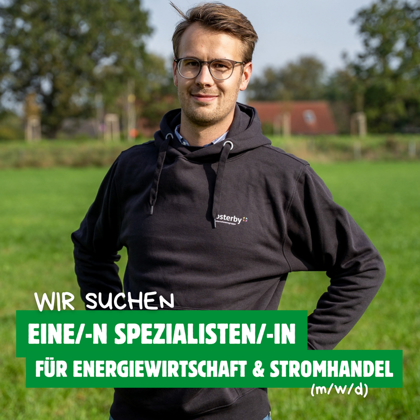 Spezialist:in für Energiewirtschaft & Stromhandel (m/w/d)